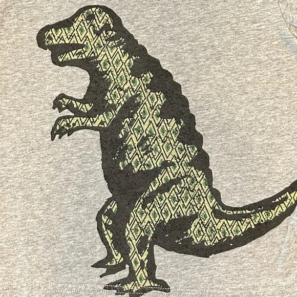Hanna Andersson Boys Grey Dinosaur T-Shirt, Size 110 (5) Tee, 100% Soft Cotton - Picture 4 of 8